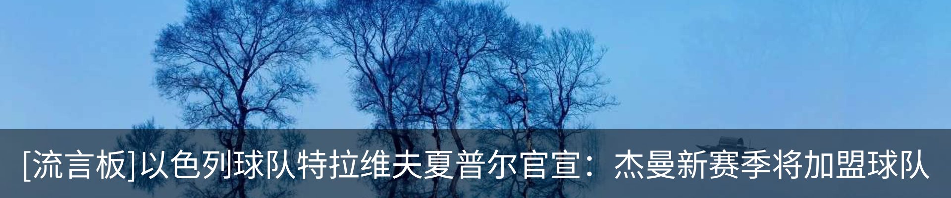 最新动态